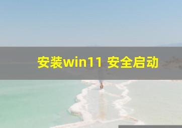 安装win11 安全启动